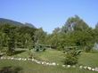 Campeggio - pic nic